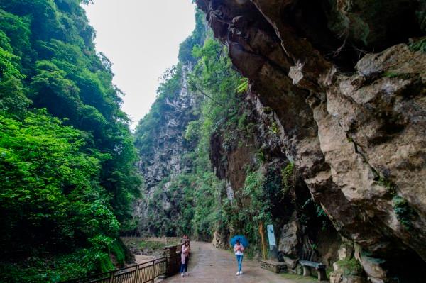雷竞技比分